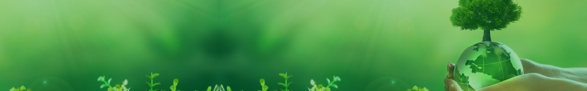 Brackish Water - RO Membrane